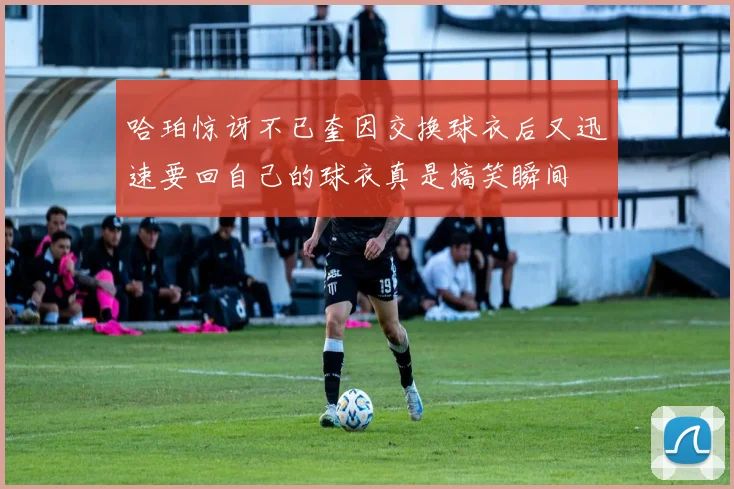 哈珀惊讶不已奎因交换球衣后又迅速要回自己的球衣真是搞笑瞬间