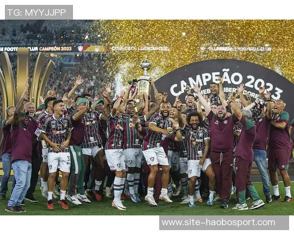 自2019年起巴西球队连续称霸南美解放者杯今年冠军已然确定 自2019年起巴西球队连续称霸南美解放者杯今年冠军已然确定