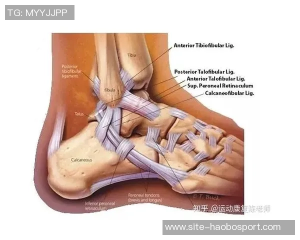 弗兰克谈小卡伤情揭示脚踝问题背后的复杂性与脚部损伤情况
