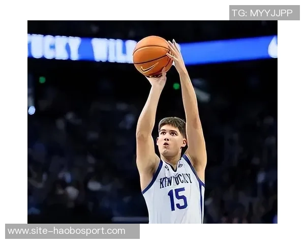 谢泼德本季表现大幅提升场均得分与三分命中率显著增长